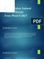 What Makes Animal Cells Different