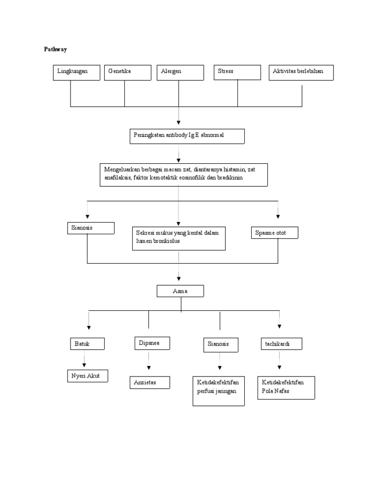Pathway | PDF