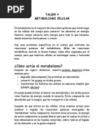 Taller 4. Metabolismo Celular