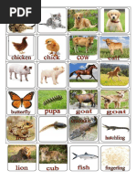 100 Animals and Their Young Ones | PDF