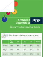 03 - Deshidratacion