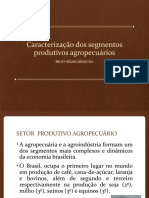 Aula 2 - Caracterizacao Dos Segmentos Produtivos Agroindustriais