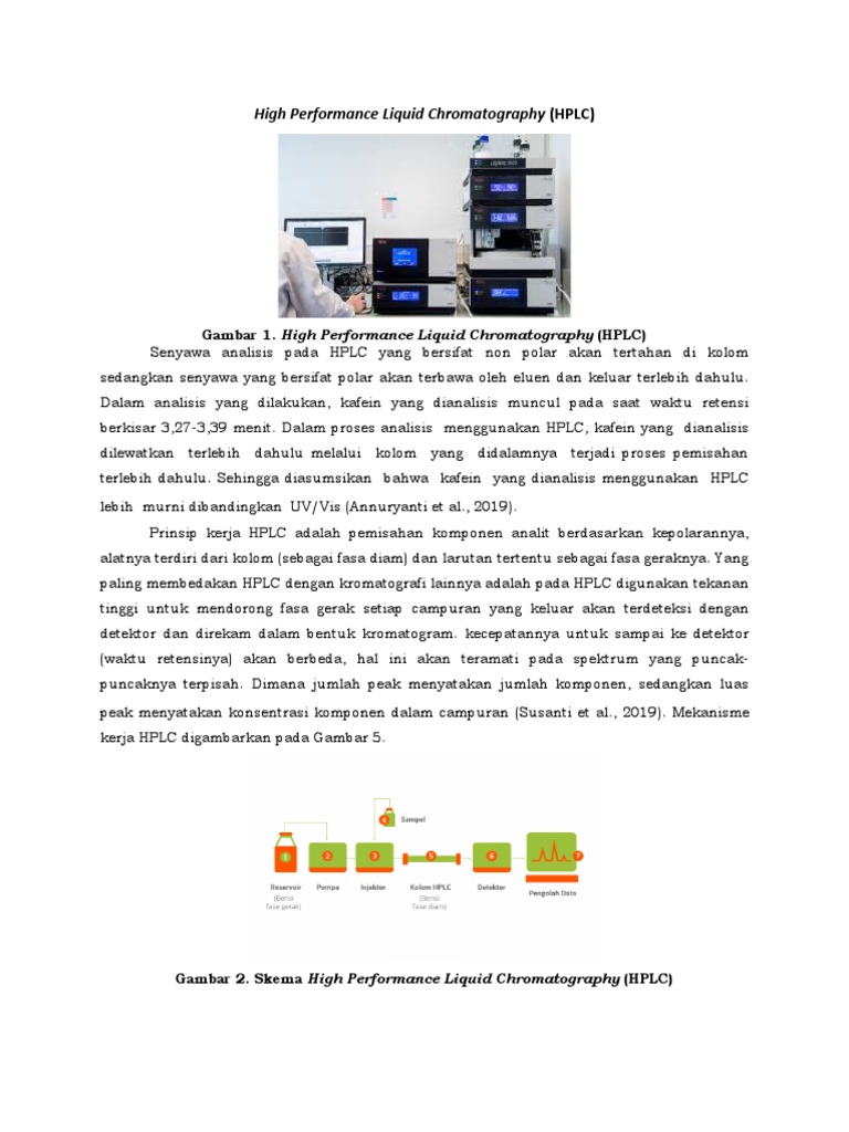 High Performance Liquid Chromatography | PDF