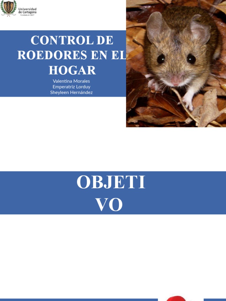 Control de Roedeores | PDF | Roedor | Alimentos