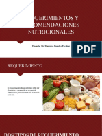 Requerimientos y Recomendaciones Nutricionales