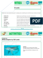 White Dolphin by Gill Lewis - Activity Ideas
