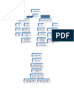 Hierarchy of Courts