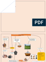 Infografia Minerales Rocas