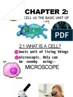 Cell As The Basic Unit of Life