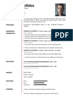 140-curriculum-vitae-chile