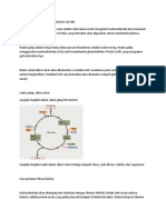 REAKSI GELAP FO-WPS Office