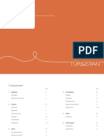 Turkistan Brandbook