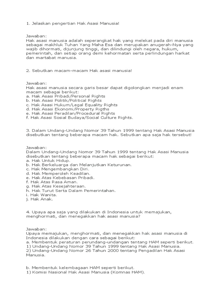 Pkn Essai Pdf