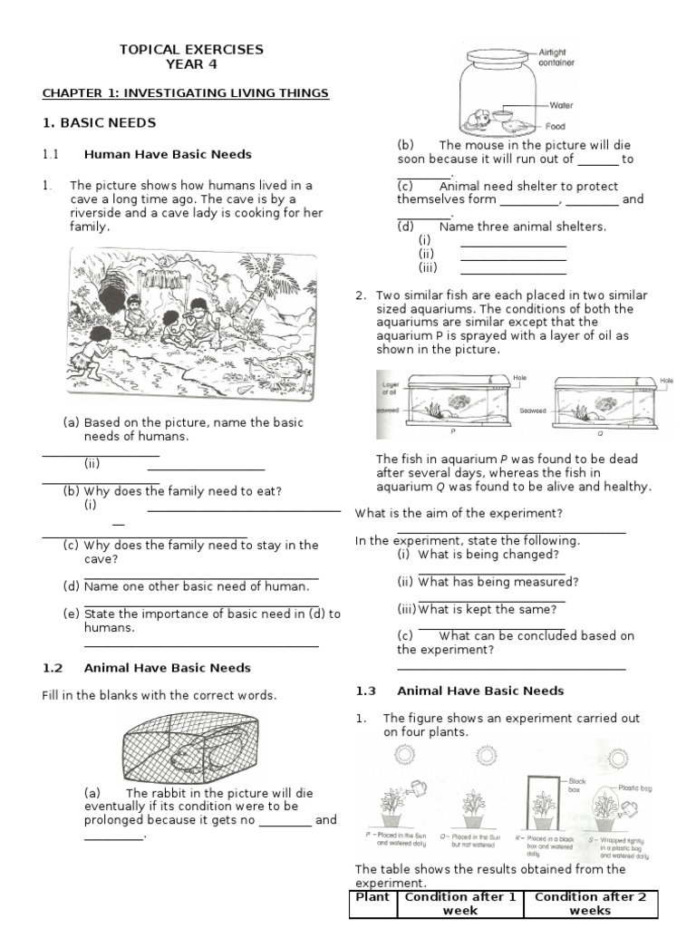 revision science year 4 pdf exhalation excretion