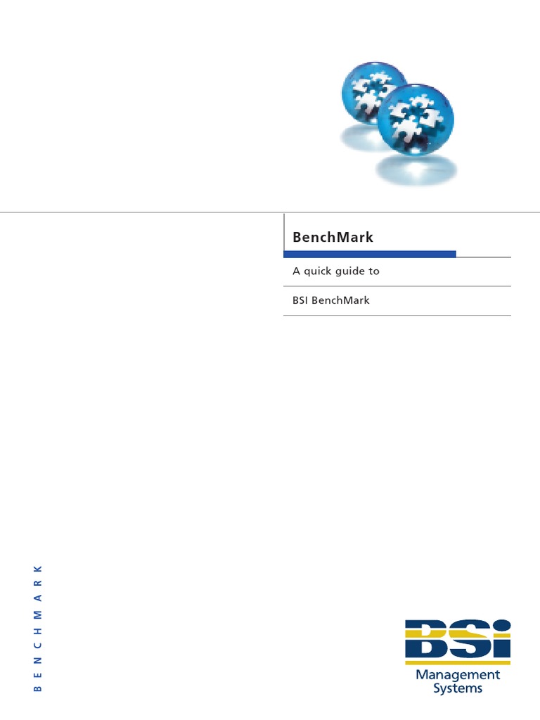 BSI BenchMark: A Guide to Excellence | PDF | Benchmarking | Leadership