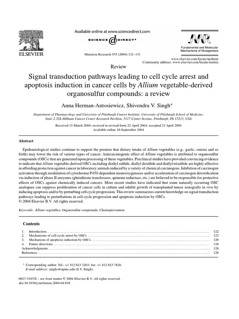 Signal Transduction Pathways Leading To Cell Cycle Arrest and Apoptosis ...