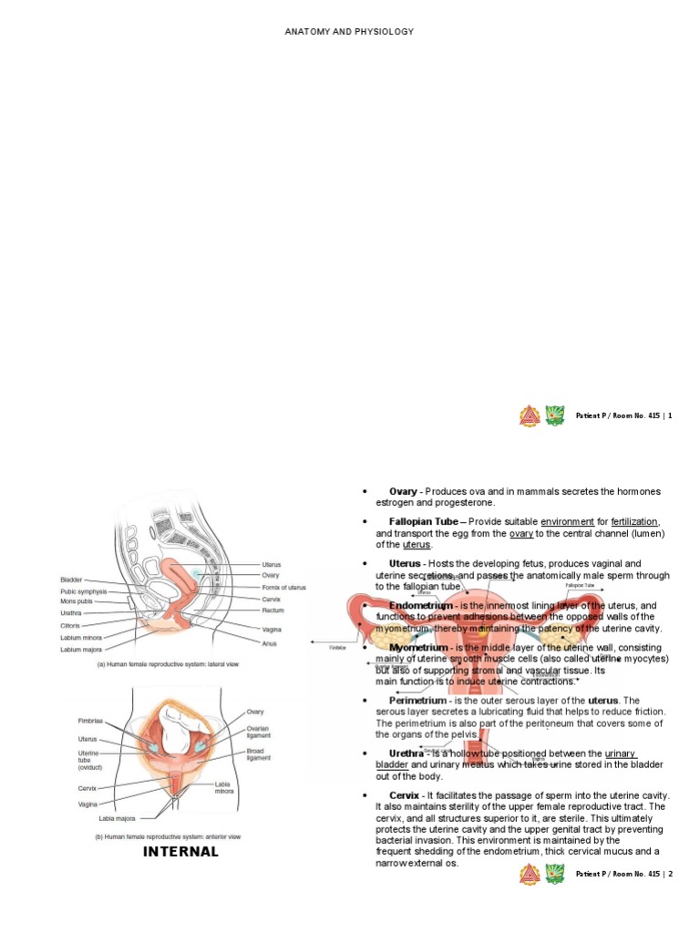 Anatomy and Physiology: Patient P / Room No. 415 - 1 | PDF | Uterus | Labia