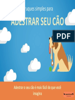 Aprenda a treinar seu cão com dicas simples