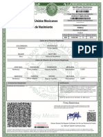 Acta de Nacimiento ROPE910716MPLDRV08