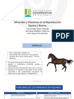 Vitaminas y Minerales en Equinos y Bovinos