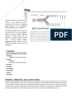 Sequence Homology