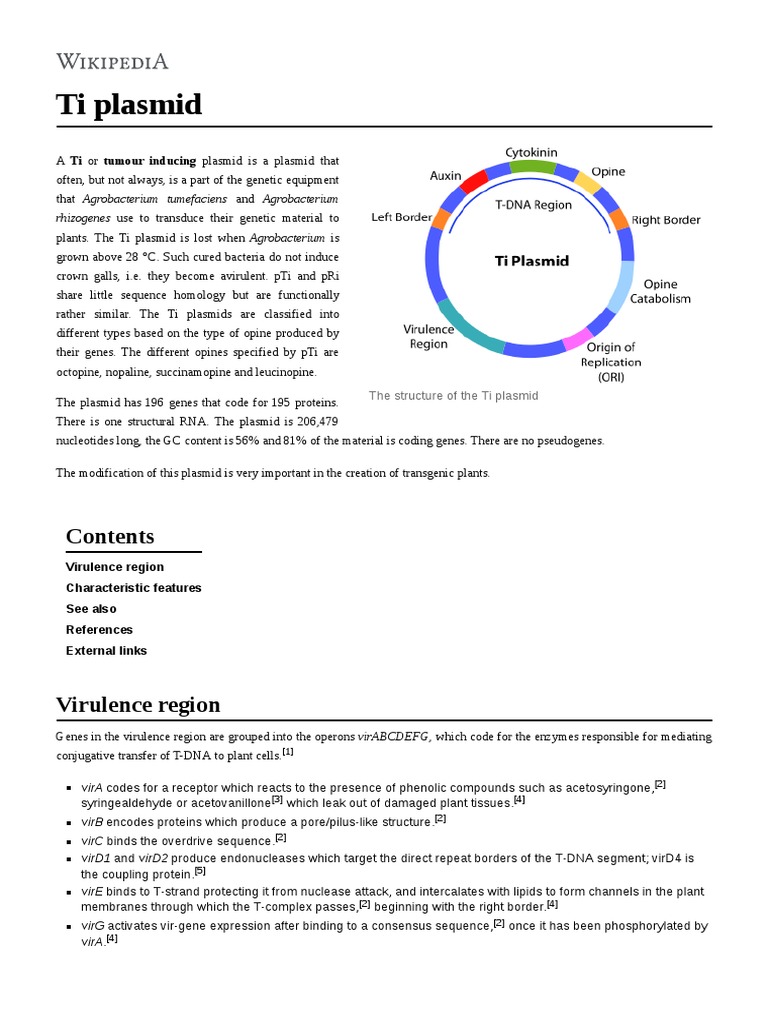 Ti Plasmid PDF Organisms Molecular Biology
