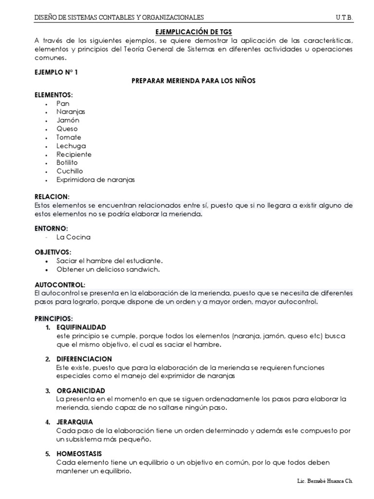 Ejemplos de TGS | PDF | Informática | Business