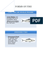 MARKET FORMS OF FISH