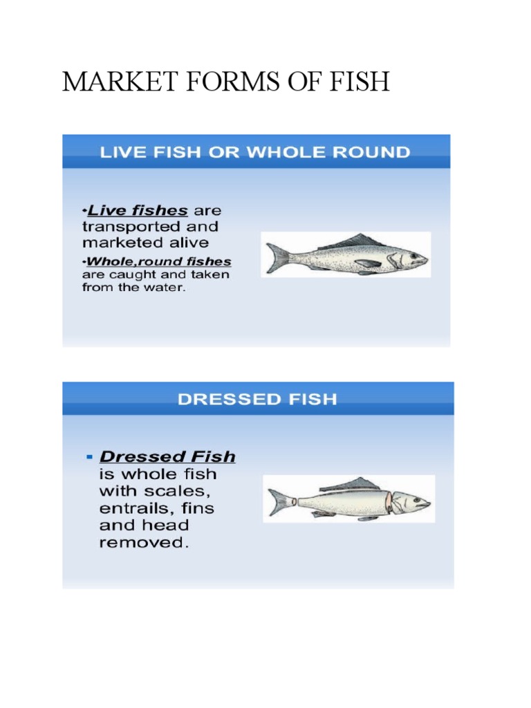 Market Forms of Fish PDF