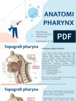 Anatomi Pharynx - Kelompok 2