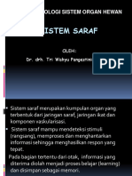 Sistem Saraf - Dr. Drh. Tri Wahyu Pangestiningsih, M.P. - 2