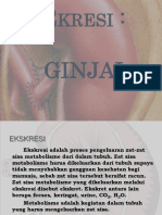 Ginjal 121114064145 Phpapp02
