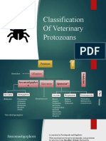 Classification of Veterinary Protozoans