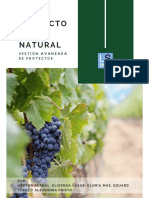 Gestión de proyecto de vino natural con enfoque en sostenibilidad