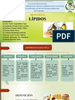 LIPIDOS