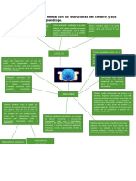 Realiza Un Mapa Mental Con Las Estructuras Del Cerebro y Sus Funciones en El Aprendizaje