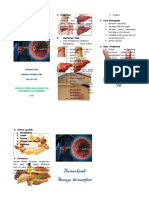 Lampiran Leaflet Sirosis Hepatis