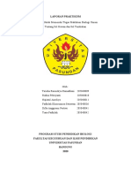 A - Kelompok 6 - Praktikum Sel Hewan Dan Sel Tumbuhan