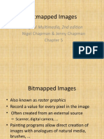 Bitmapped Images: Digital Multimedia, 2nd Edition