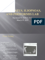 Quadratus, Iliopsoas, and Piriformis Lab: Raymond D. Seifert, D.O. March 19, 2019