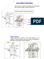 Anatomia Biomecanica Antropometria