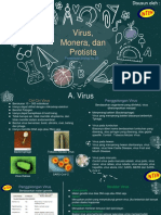 B 20 Virus, Monera, Protista