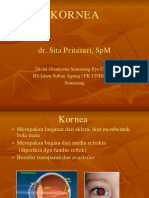 1. Kornea - Dr. Sita
