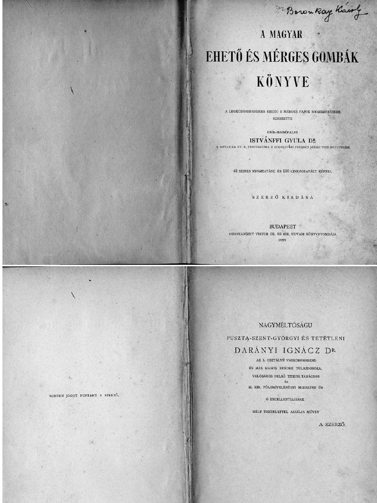 Mir hebe blowjob-rip 58 Church Bells Vol 25 (Bells and Bell Ringing) - 1894/95