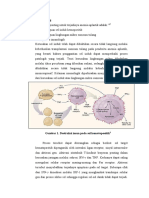 Pansitopenia Perifer-Patofisiologi, Maniifestasi, Penatalaksanaan, Obat