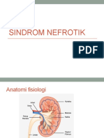 Kep Anak 2 Nefrotik Sindrom