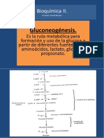 3.1 Gluconeogénesis