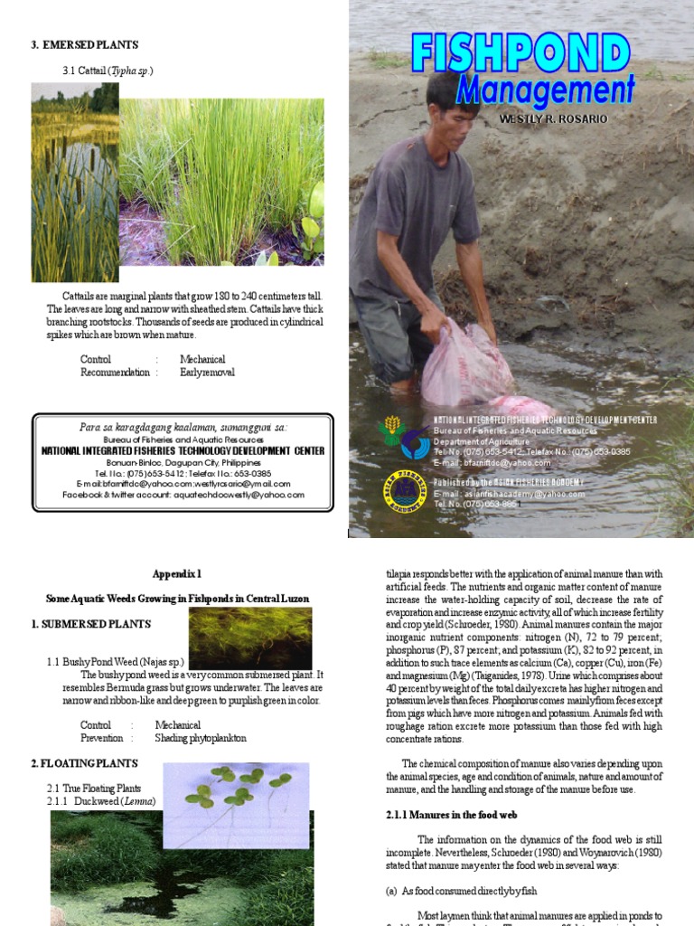 Fishpond Management | PDF | Manure | Pond