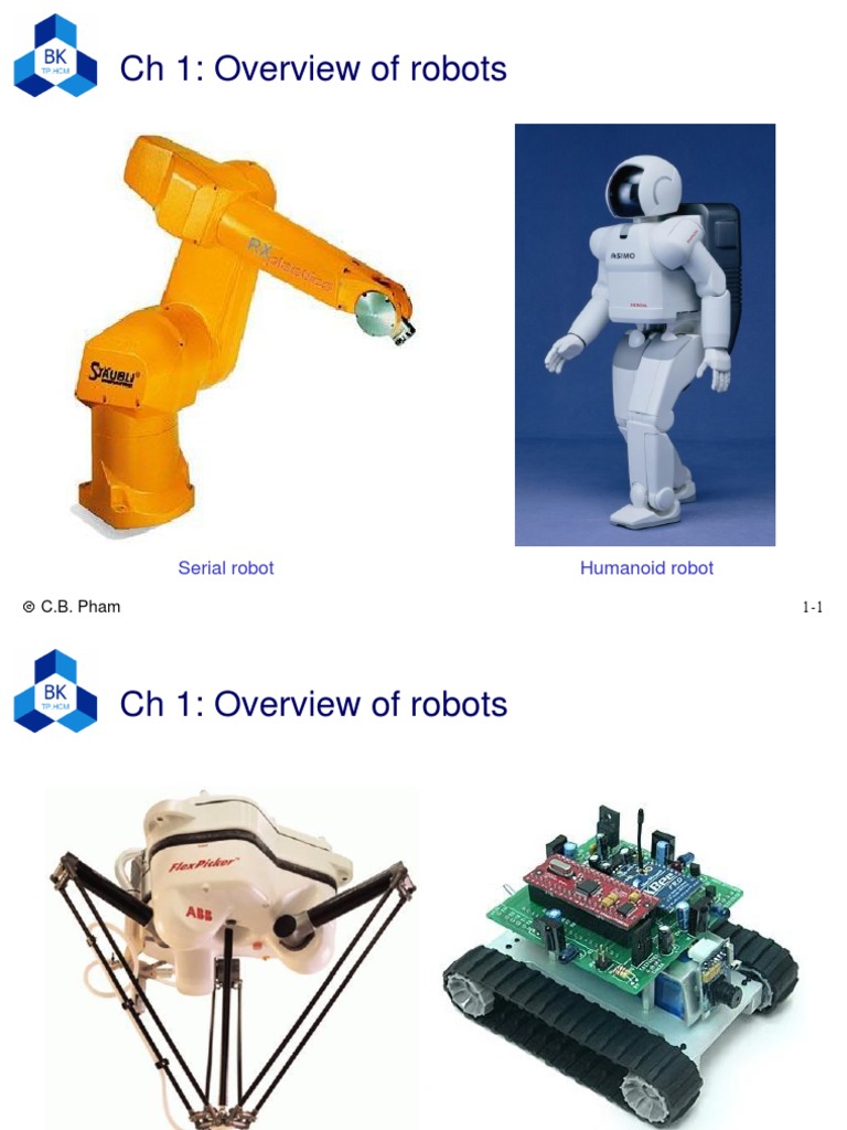 Overview of Robot Types and Applications | PDF | Robot | Robotics