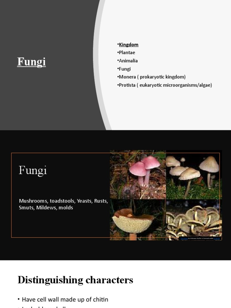 Fungi Kingdom Plantae Animalia Fungi Monera (Prokaryotic